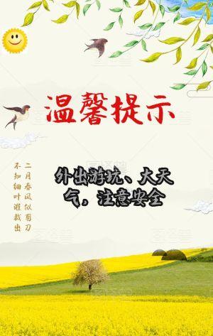 春雨春风最新爆料,最新爆料背后的故事与真相