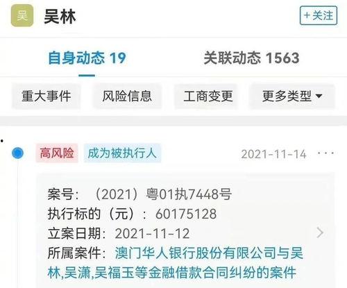六叔最新爆料入口网站下载,入口网站下载全解析
